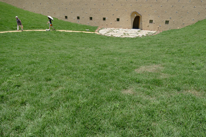 P1070035.jpg