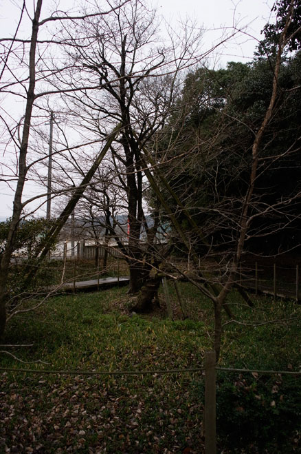 R0011979.jpg